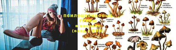 альфа пвп VHQ Алексеевка