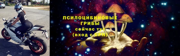 дмт Алзамай
