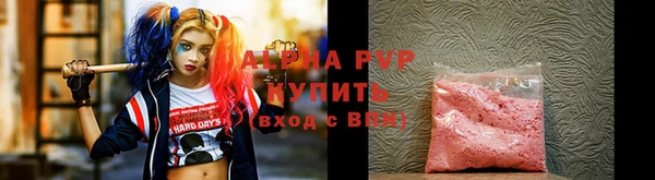 стаф Новодвинск