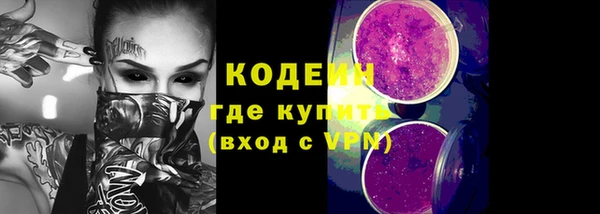 СК Новозыбков